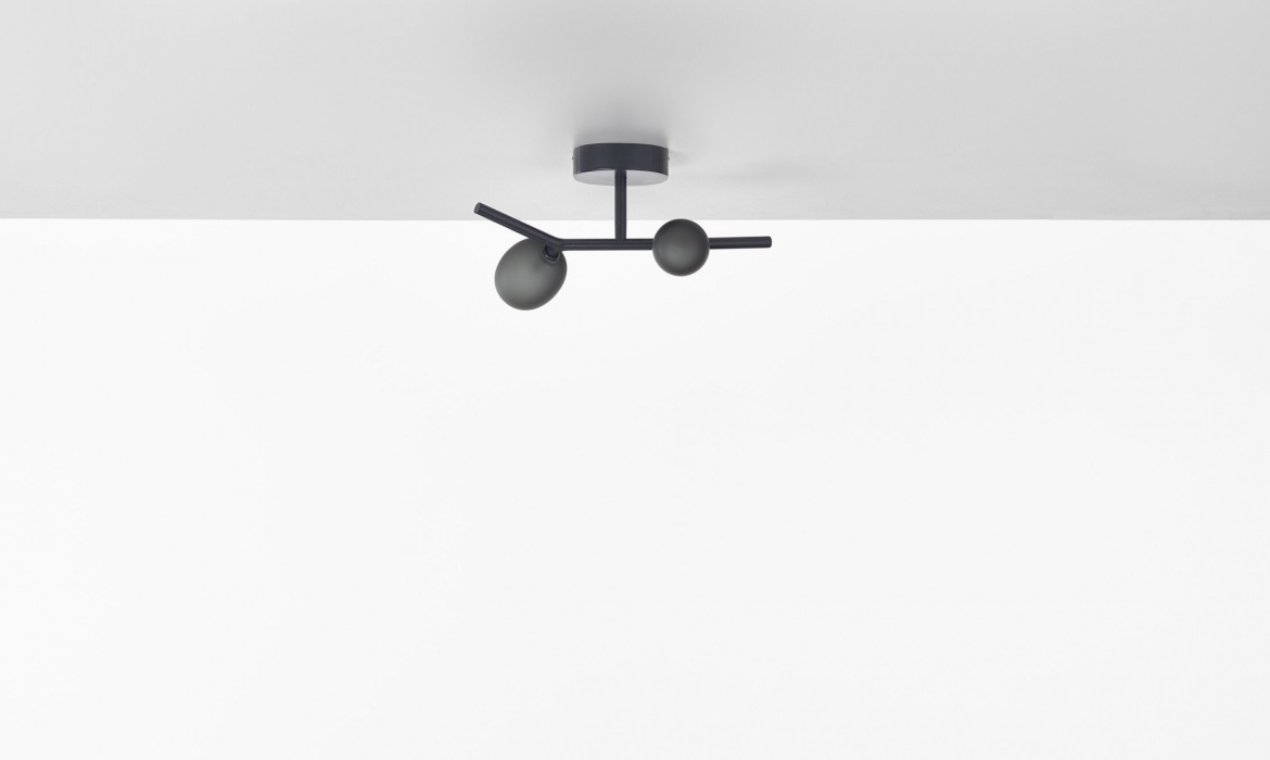 Ivy Ceiling 2 PC1224