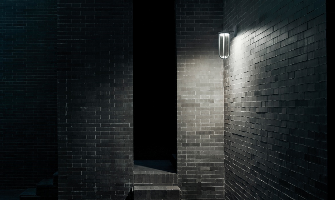 In Vitro Wall