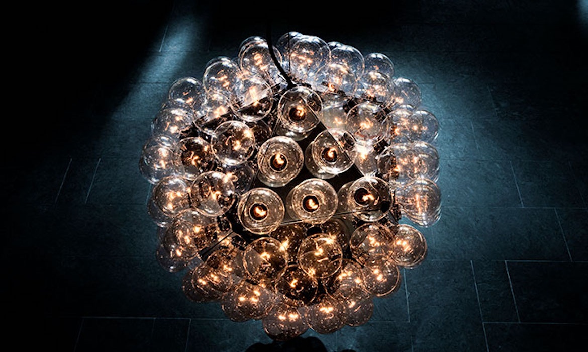 Taraxacum 88 Suspension