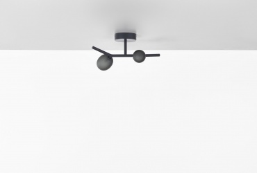 Ivy Ceiling 2 PC1224