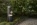 Logico Garden