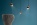 Spot Pendant