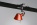 Tolomeo Pinza + Micro Pinza