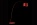 Twiggy Floor LED rot (Lagerware neu)