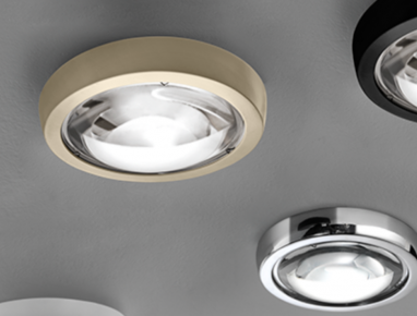 Nautilus Spot Nautilus Spot