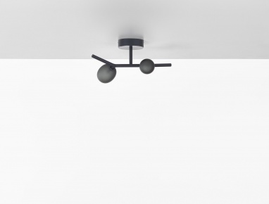 Ivy Ceiling 2 PC1224 Ivy Ceiling 2 PC1224