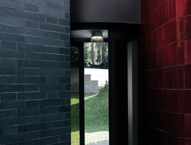 In Vitro Ceiling In Vitro Ceiling