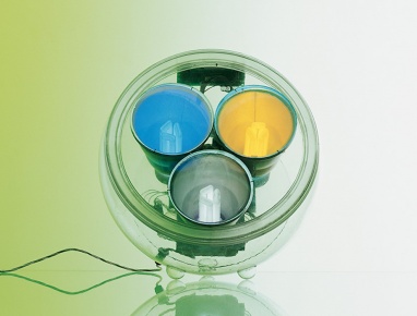 Yang LED Yang LED